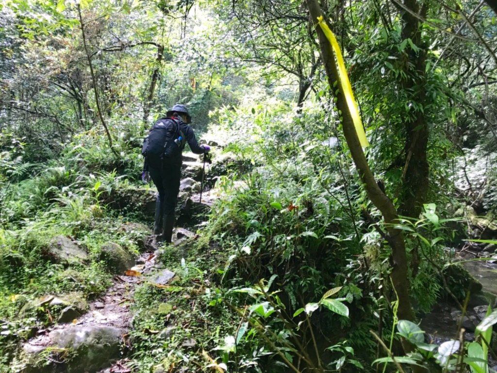崩山坑古道環走中坑古道_632775