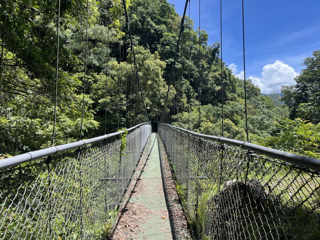 [玉山尋寶任務-03/12] 2025_0810 瓦拉米步道_2857785