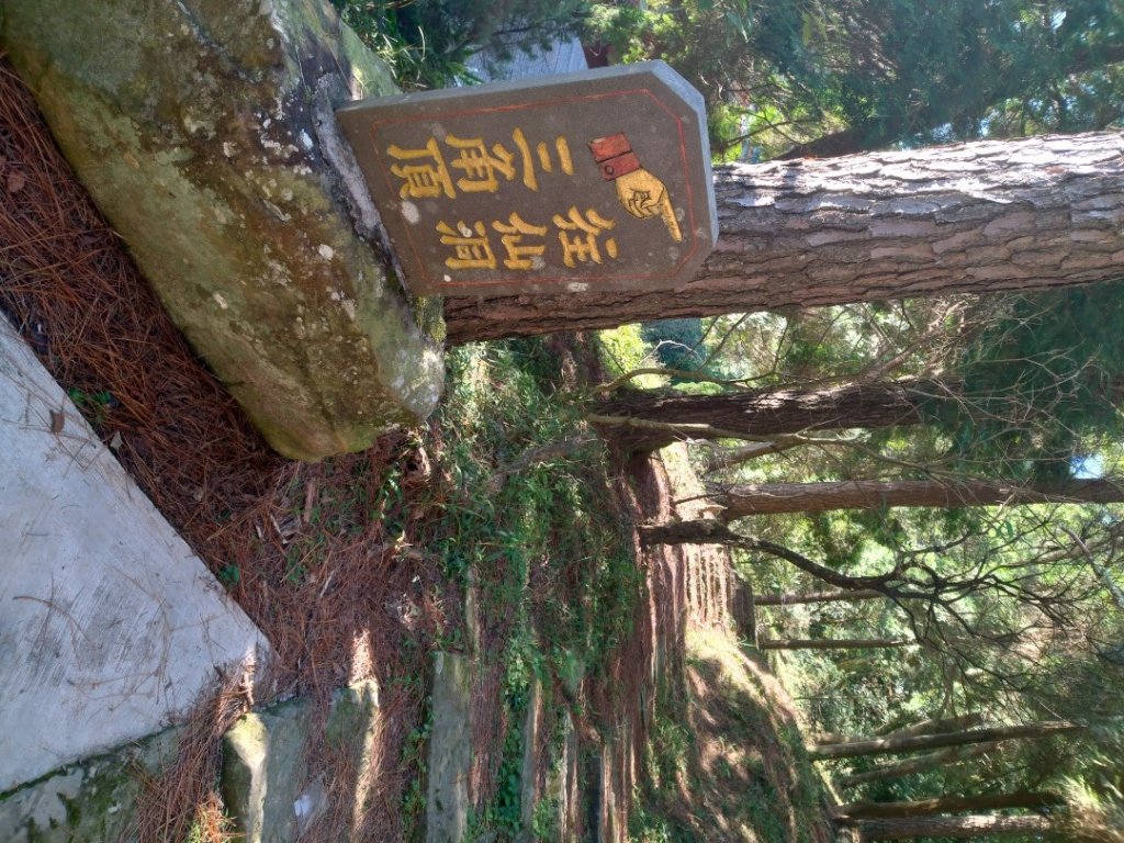 2021/11/15 仙山登山步道環狀O型_1517031