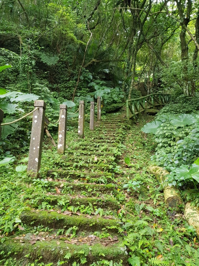 2020.10.26雙溪-逸仙山_1145023