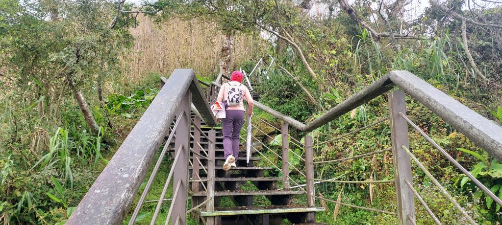 20250114東埔山；20250115二延平步道_2693865
