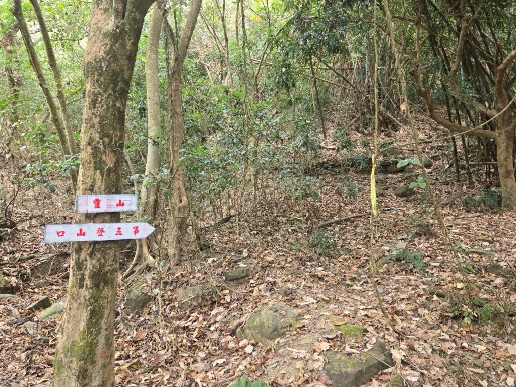 2026-02-01 靈山古道封面圖