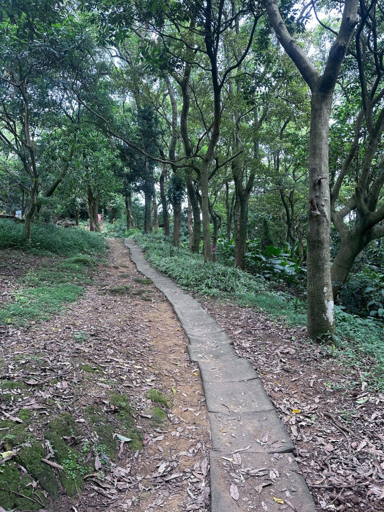大棟山系第一段、第二段一起走_2857259