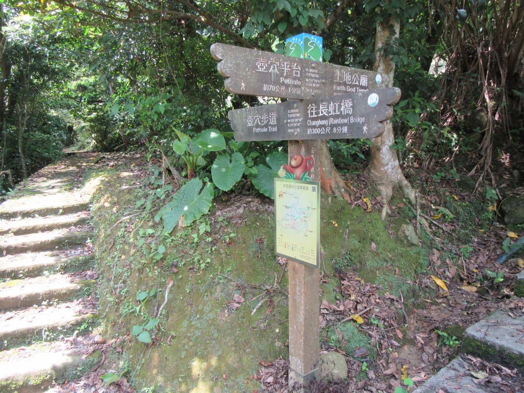 20200606-台北大縱走7_986901