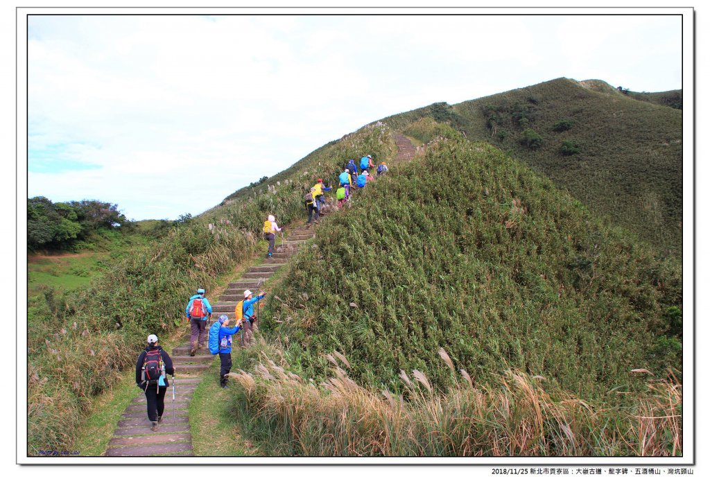 大嶺古道、五酒桶山縱走灣坑頭山_469546