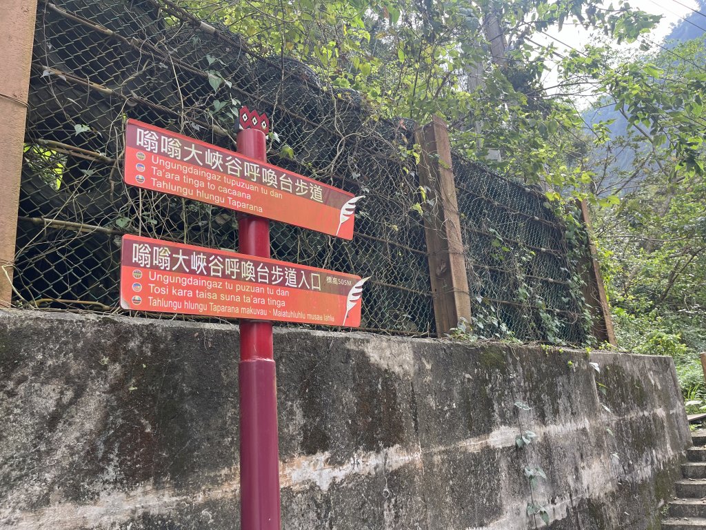 [健走複利 用愛走遍全臺灣] 2024_1123 嗡嗡大峽谷_2653616