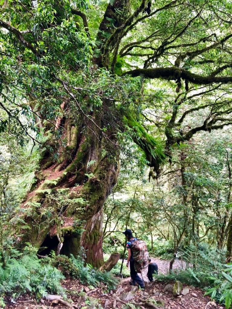 727在加羅湖拾獲散落的珍珠_637728