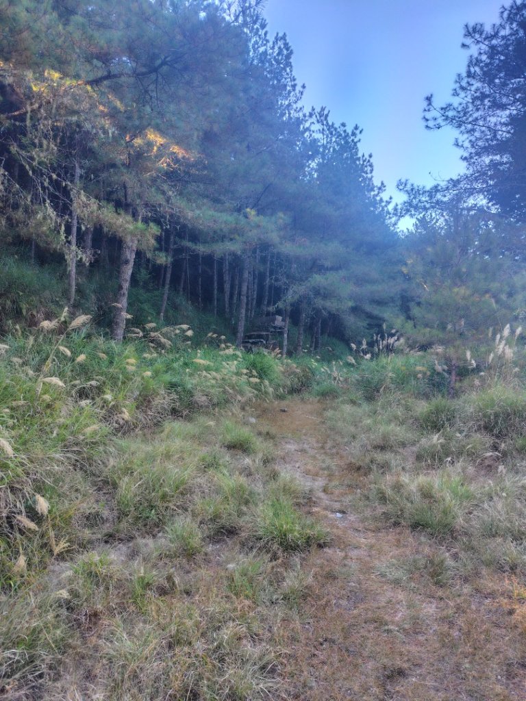 大雪山森林遊樂區 遊客中心 小神木 北三錐山 平石山西北峰_2952963