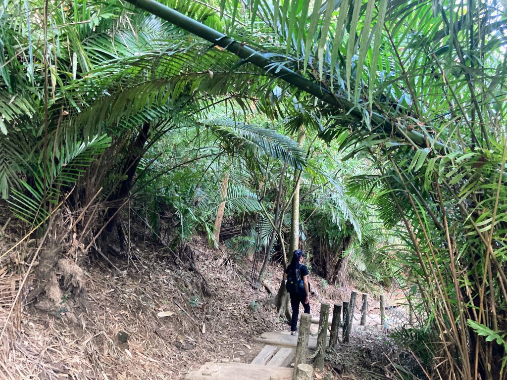 紅毛埤山(蘭潭後山步道)_2653334