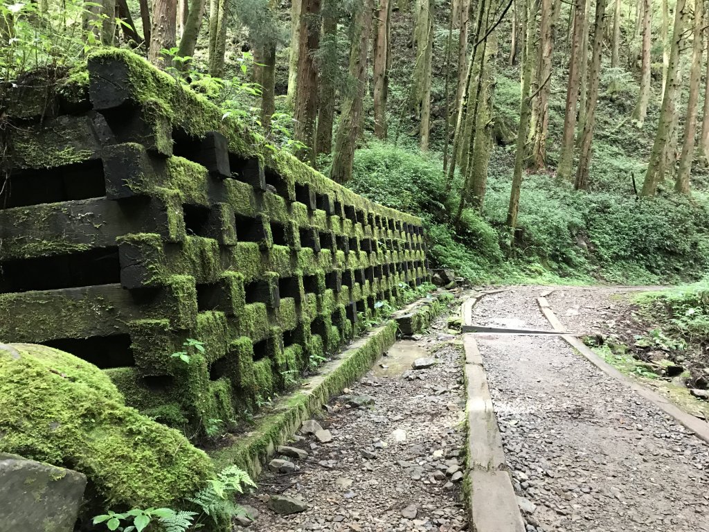 109年6月26日特富野古道_1027115