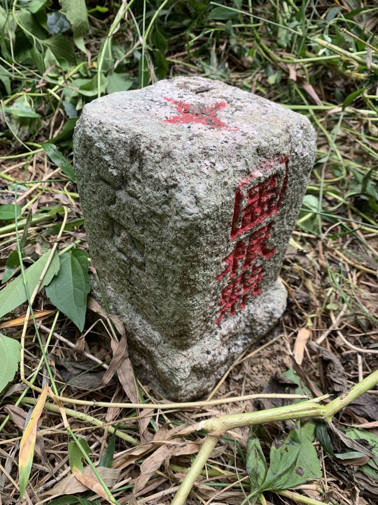 20251024台南邦埤山-三崁山_2925682