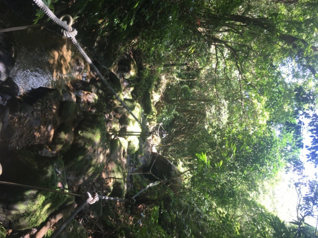 中央尖連峰、孝子山、慈母峰⋯_2248743