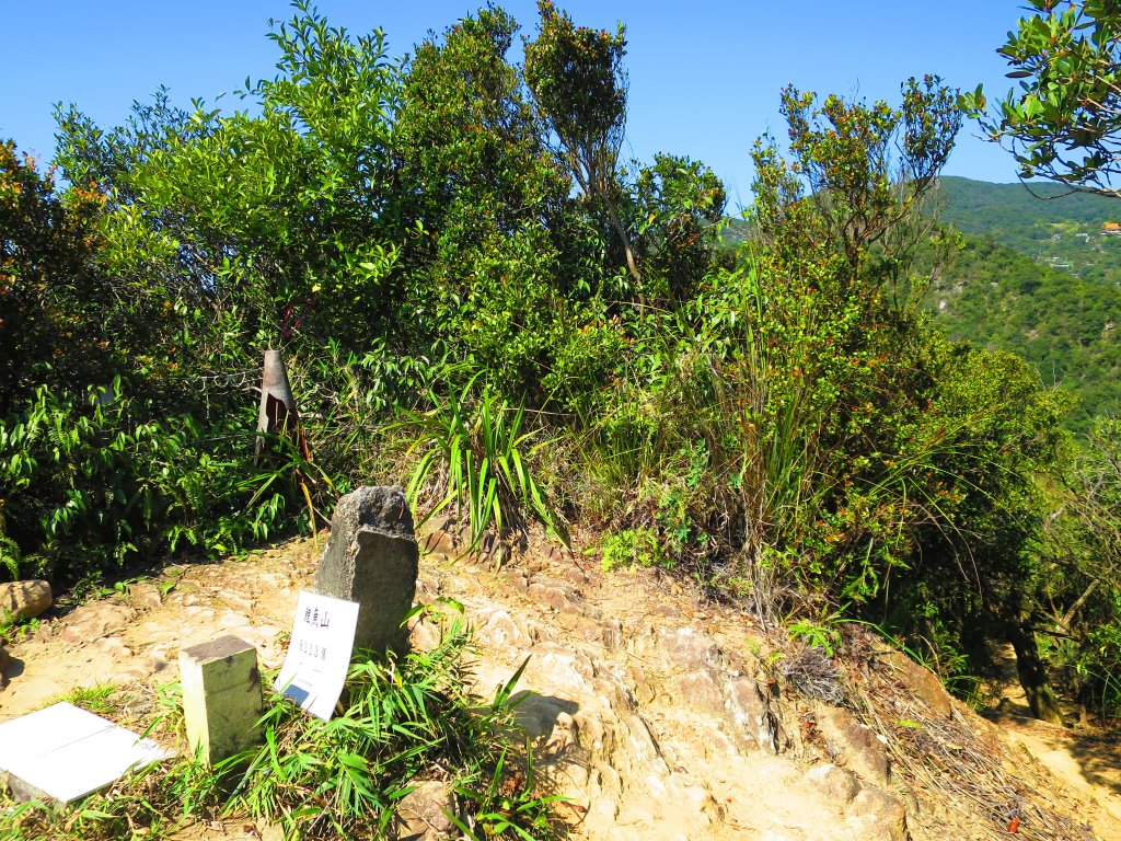 龍年首登的好選擇，鯉躍龍門，搭捷運來內湖爬三尖，鯉魚山、忠勇山、圓覺尖_2426482