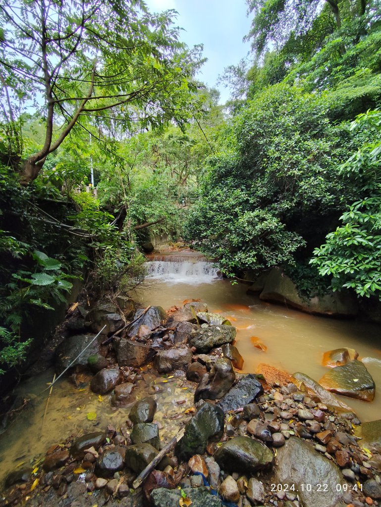 天母→猴洞→半嶺→第二展望臺→湖底步道→湖山國小步道→湖山綠地→前山公園→白雲瀑布【發現陽明山】_2633843