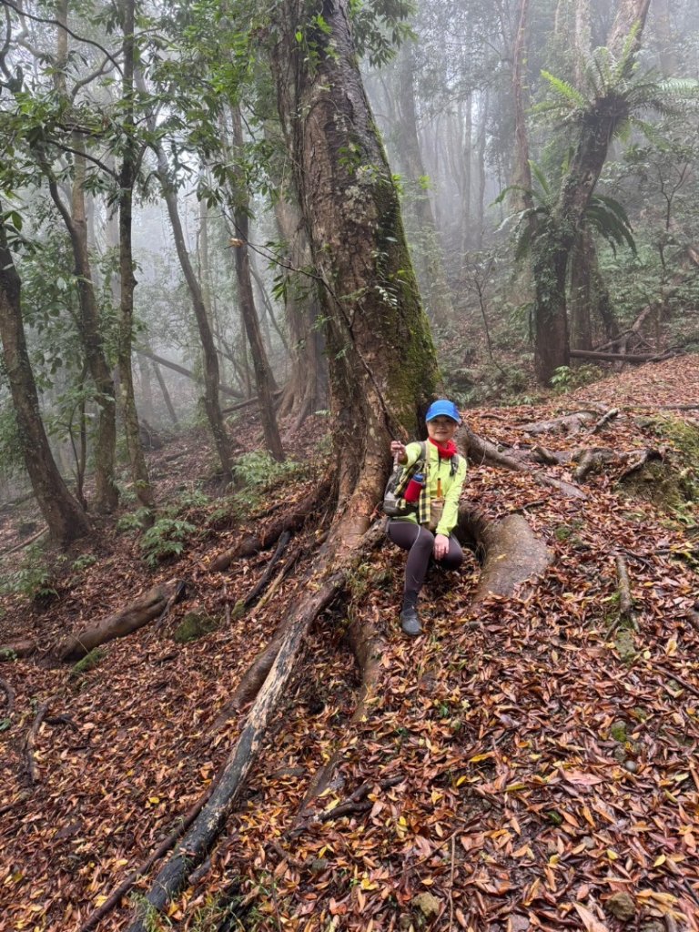 小百岳馬那邦山(H1407m)加碼採草莓_2694705