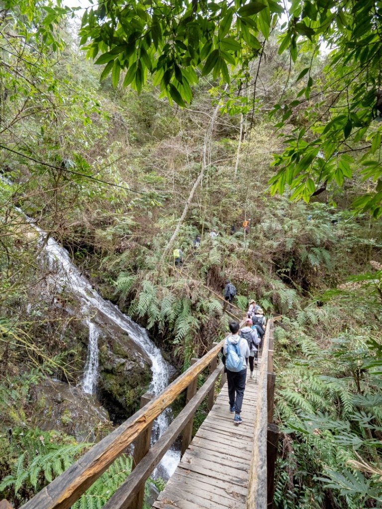 鎮西堡神木群20220217_1618152