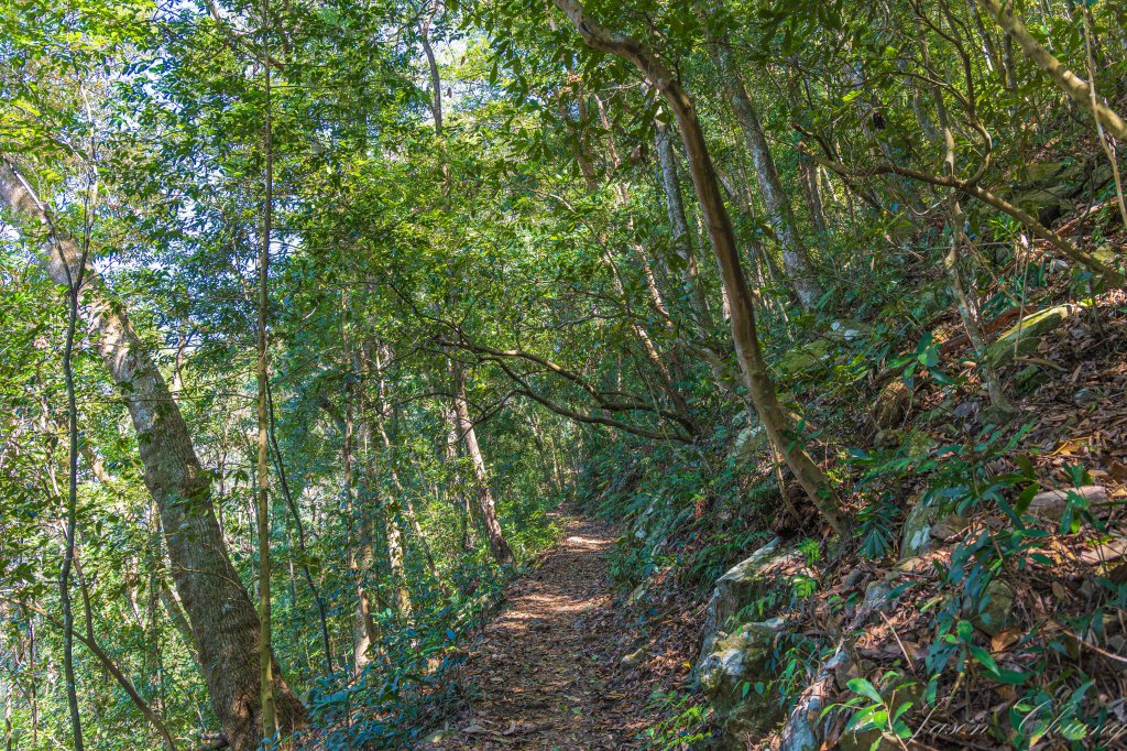 谷關七雄_唐麻丹山_3015612