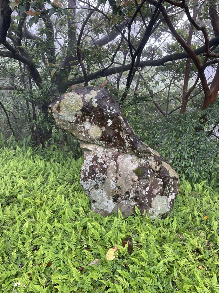 石碇大崙_2761584