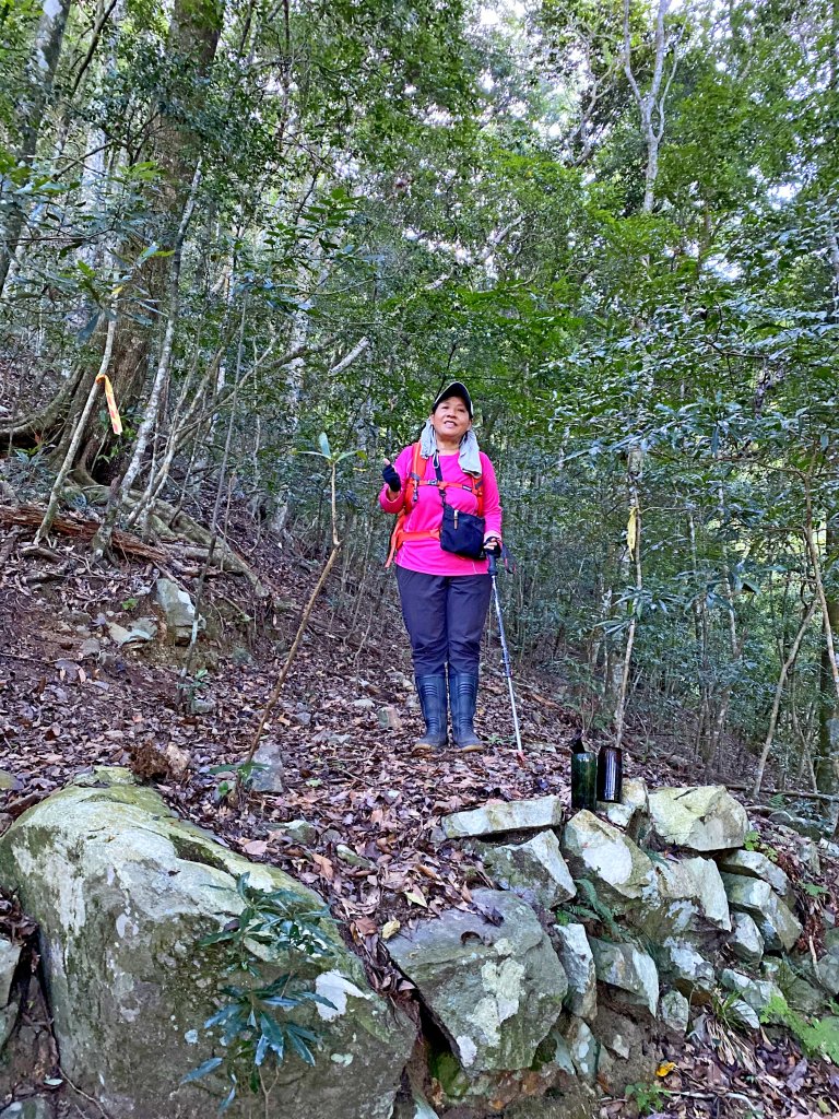 八仙山駐在所、東八仙山、八仙山O型走  _1133154