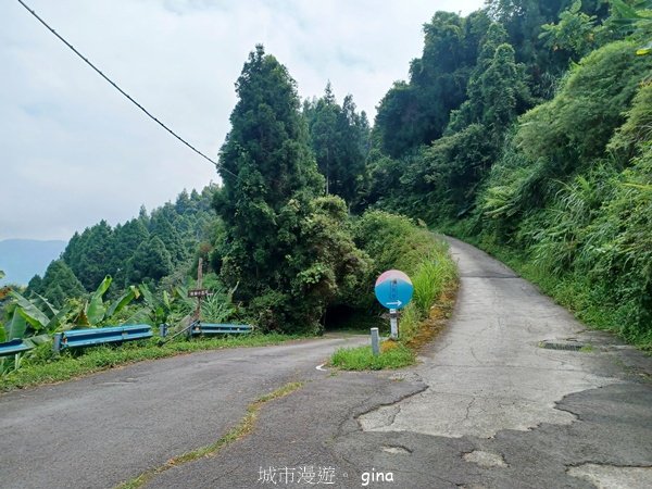 【新竹五峰】迷霧山林。 民都有山登山步道(面托油山)x民都有山北峰_2991855