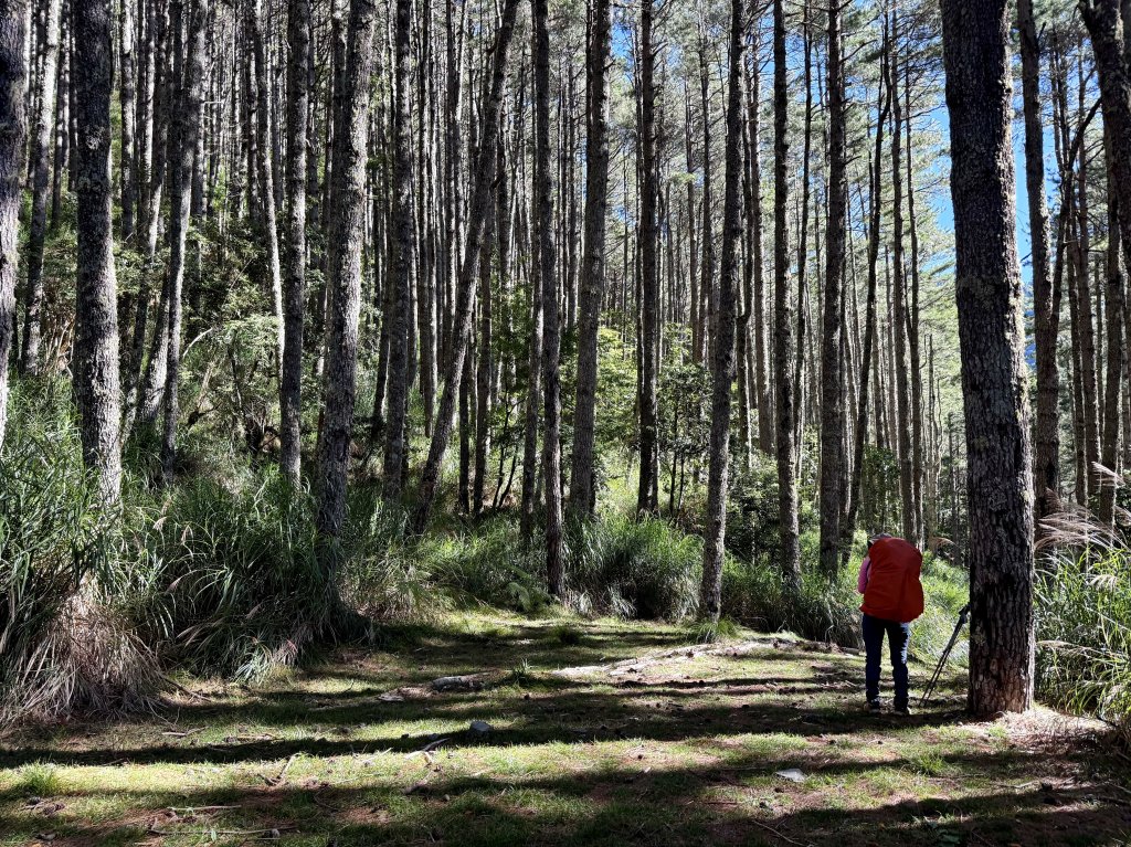 觀雲山莊經小完美谷上畢祿山O繞_2917191