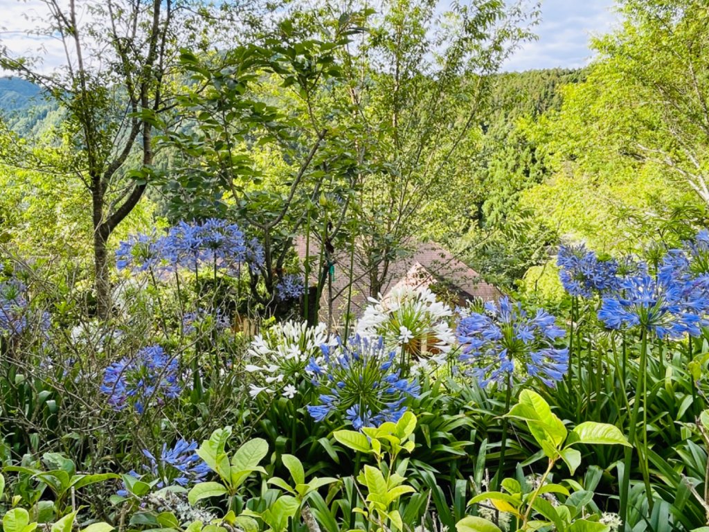 1110703-5大小霸尖山06雪霸農場_1772752