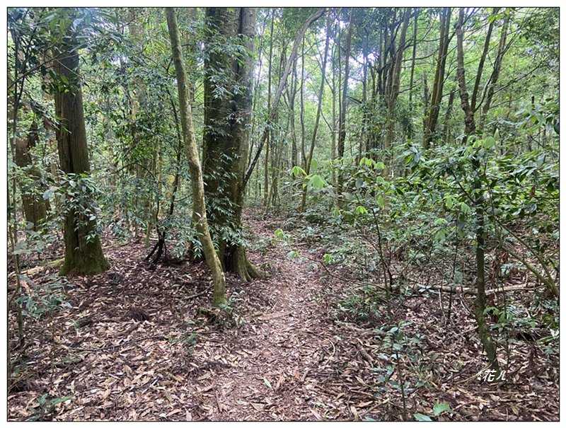 巴蜈縱走 (27.6K一日長征)_2780353