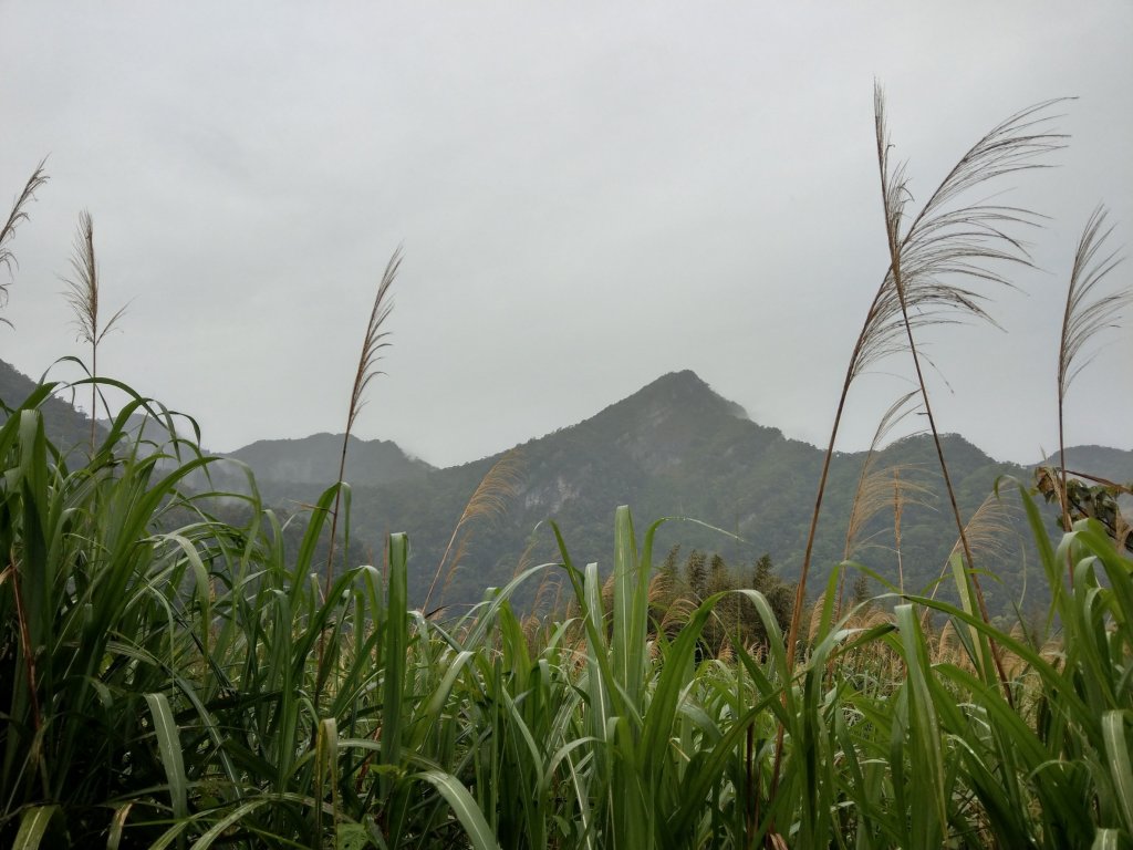 2018.04.07復興三尖-那結山_1005326