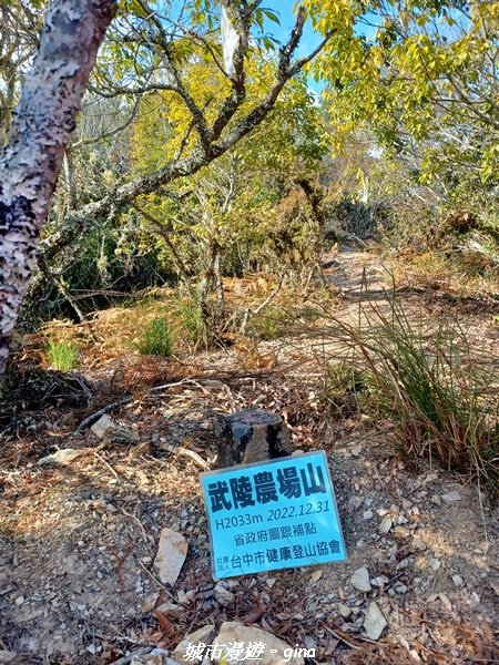 【台中和平】不期而遇~最美。 武陵農場山(馬武霸東峰)x賞鳥步道_1990878