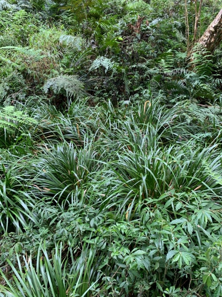 揭開神秘湖面紗_687192