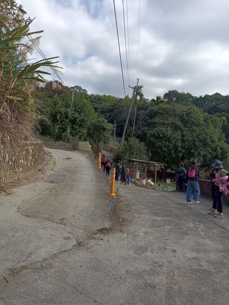 穿霧隘勇線-中三鹿_2991776