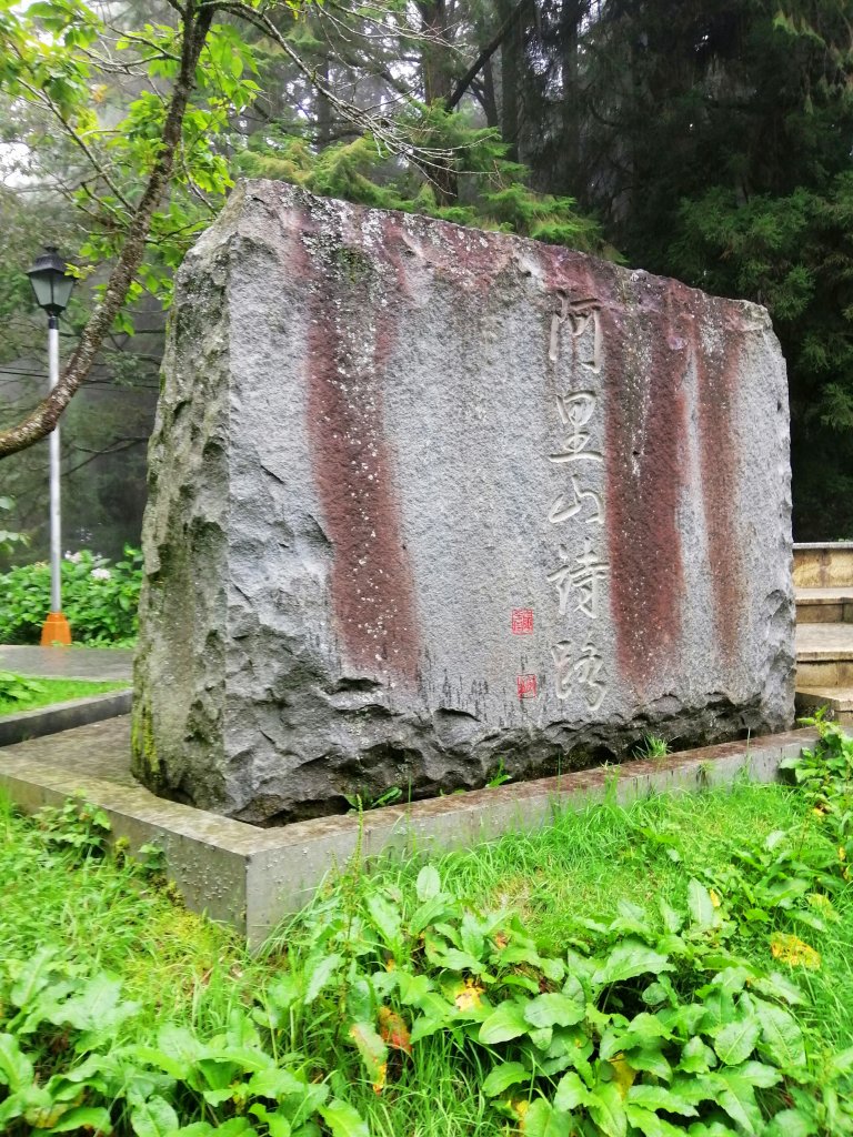 嘉義~探訪2700年樹齡之水山巨木_1105325