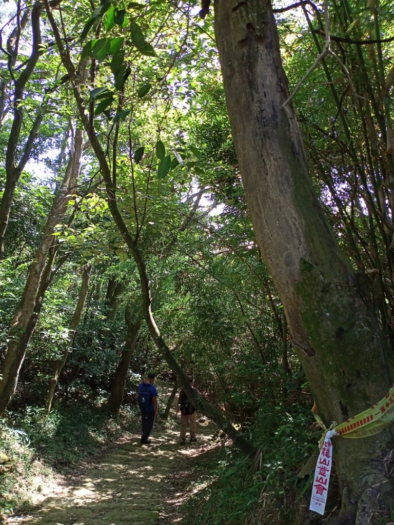 【臺北親山拓印趣】大崙頭尾山親山步道_1122532