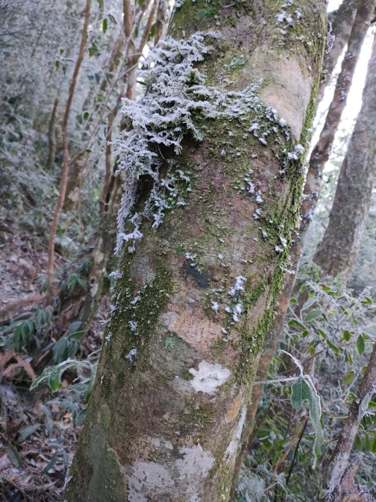 雪季北得拉曼_2956379