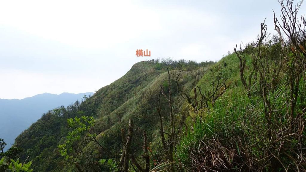 虎豹潭古道、橫山、三方向山O型走_310282