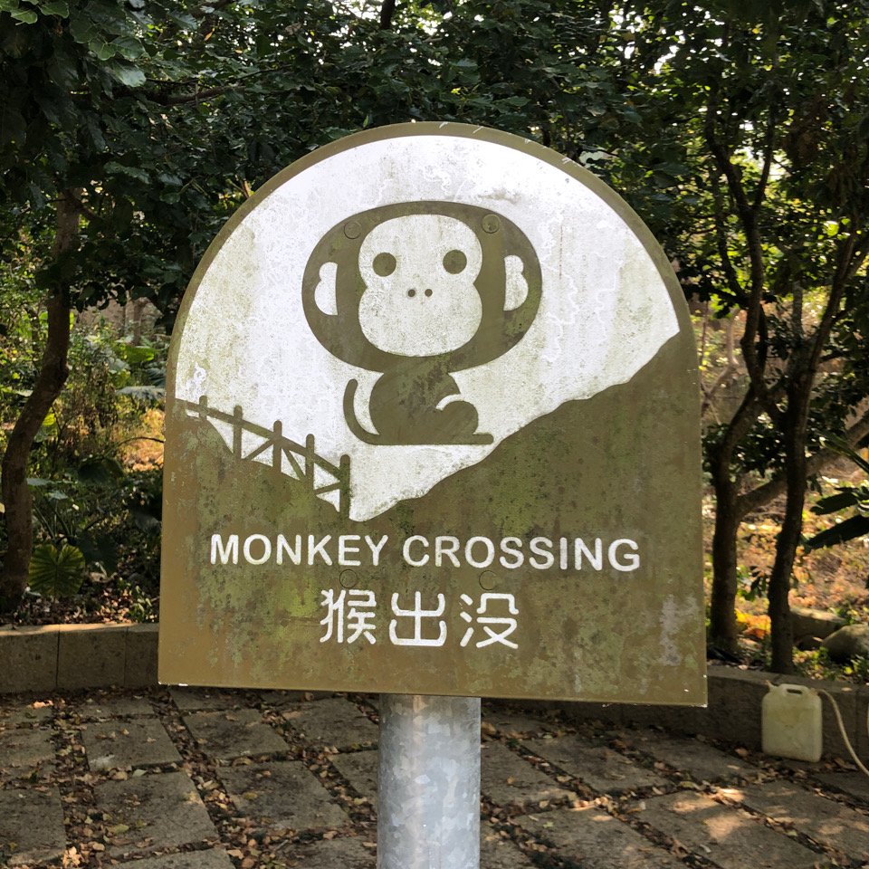 大坑九十步道230315_2465944