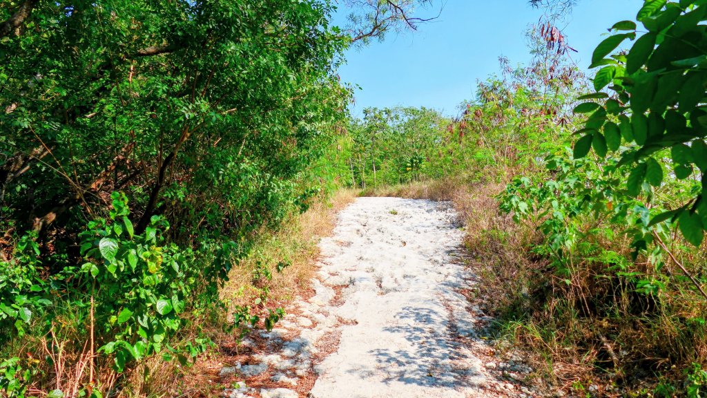 左營半屏山_2954317