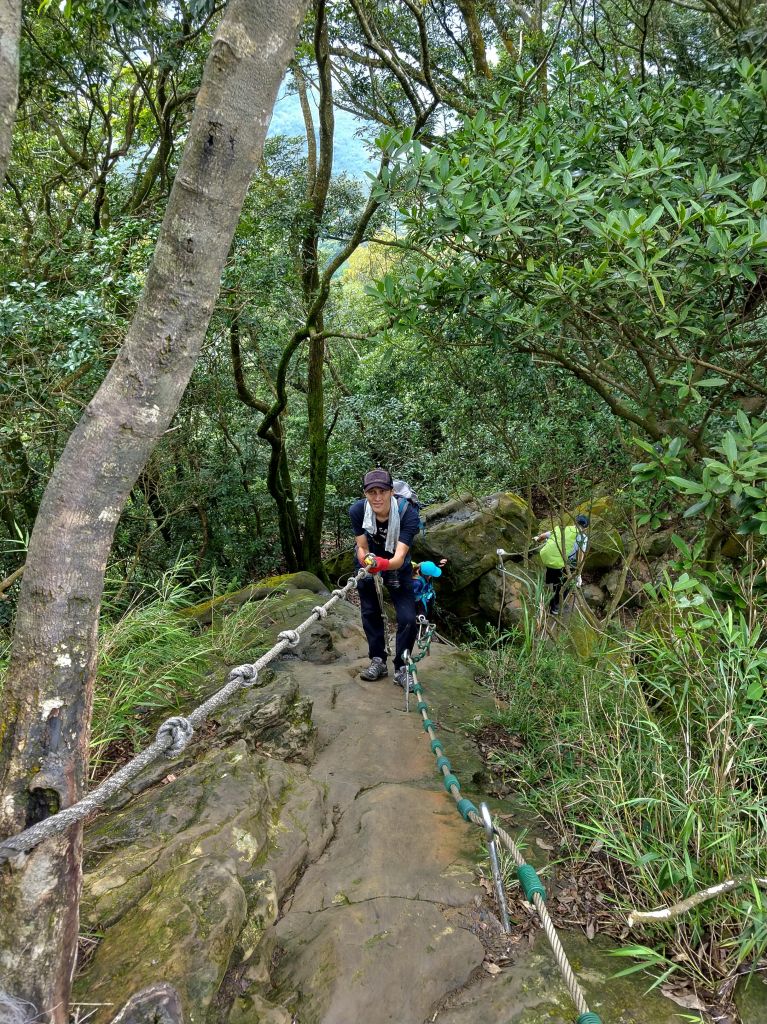 五寮尖 O 型之旅_396752