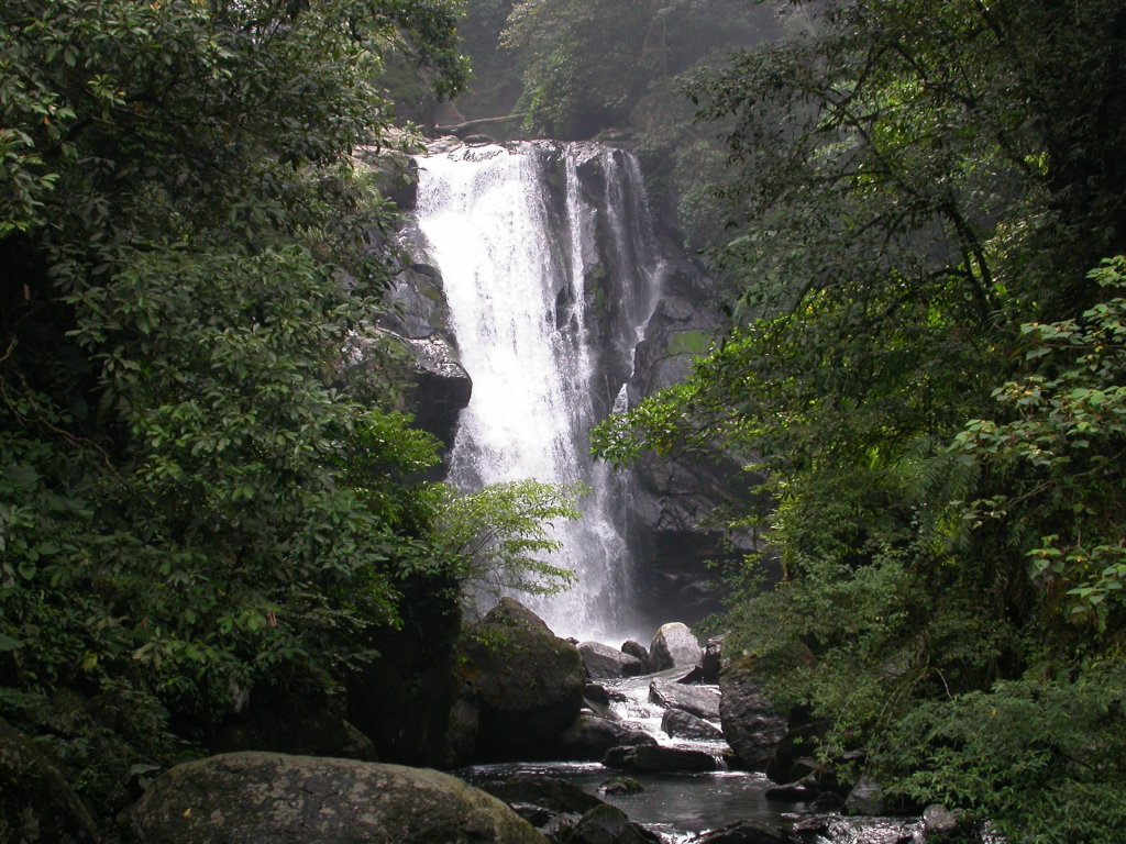 內洞森林遊樂區封面圖