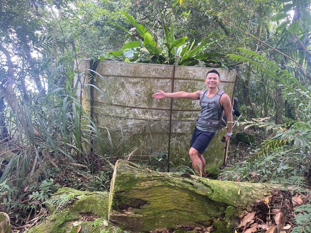 三寶山(烏心石山.鳩州嶺.尖凍山)步道【變成夢魘的大秘寶】_2639855