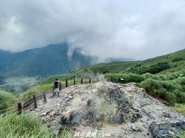 【台北北投】搭捷運公車爬山趣。 小百岳集起來。編號2小百岳~七星山步道_1766580
