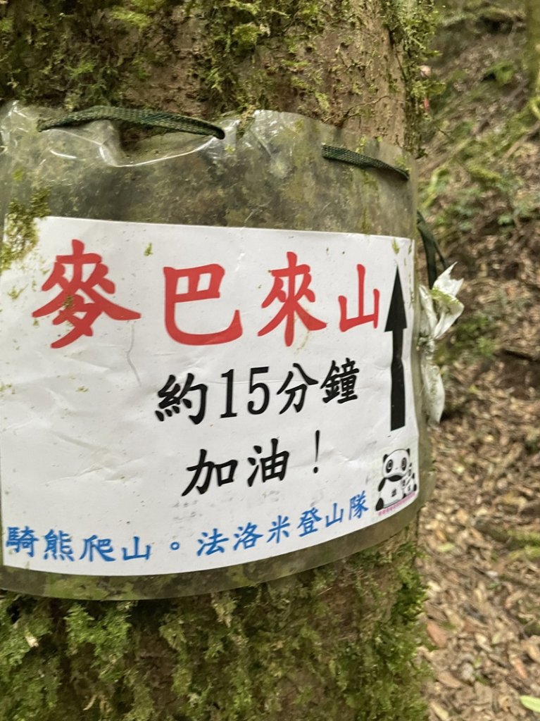 麥巴來封面圖