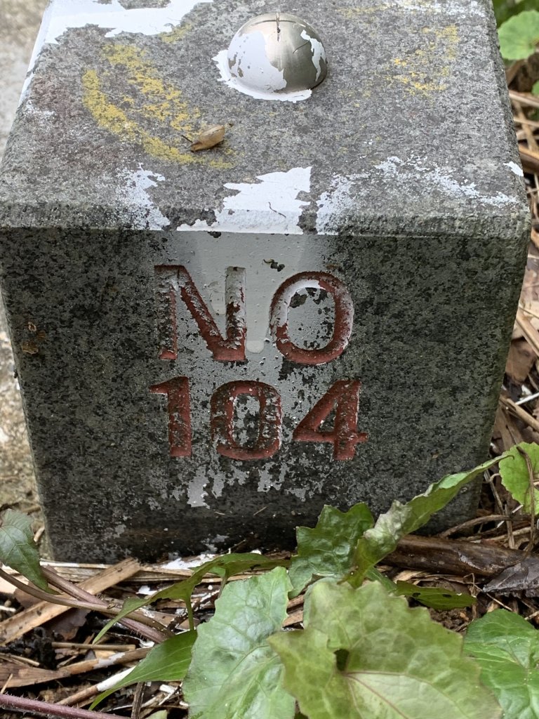 20250426苗栗火炎山_2772952