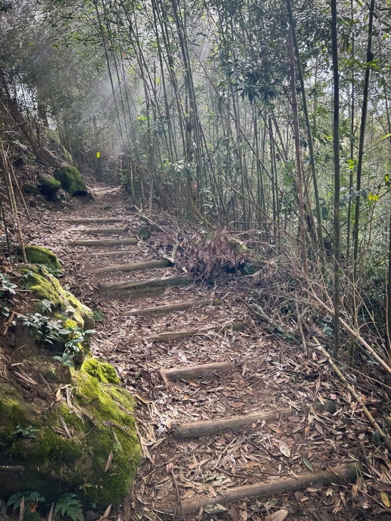 馬那邦山的雲海季_2650892
