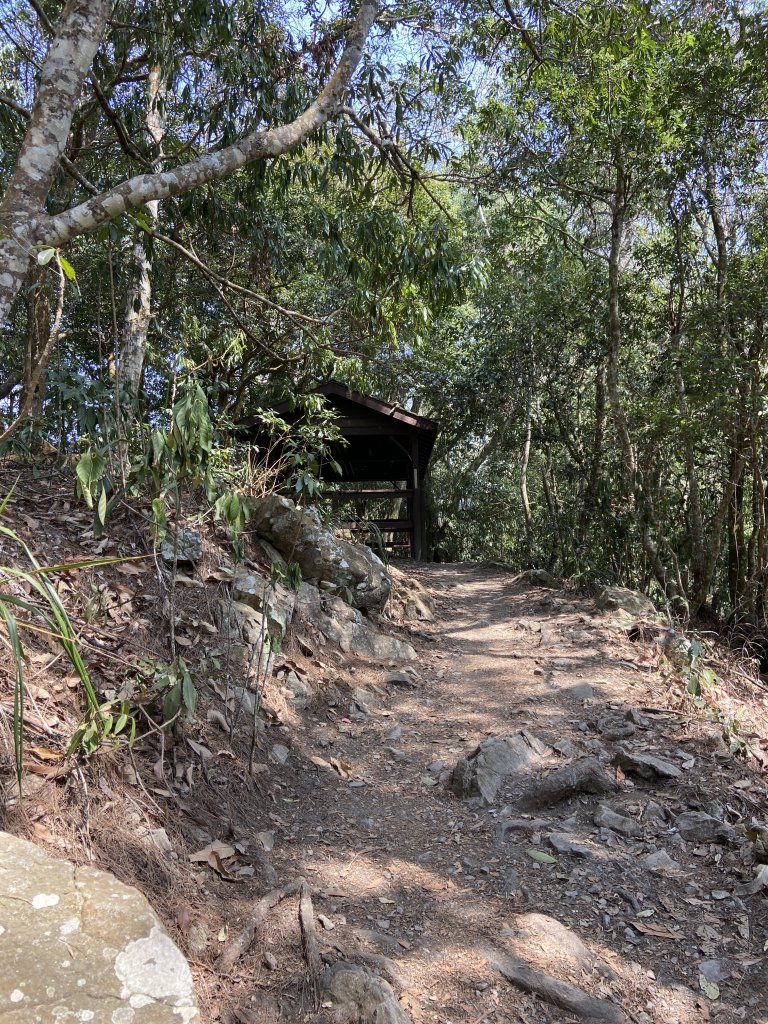 谷關七雄-東卯山原路線來回_2059271