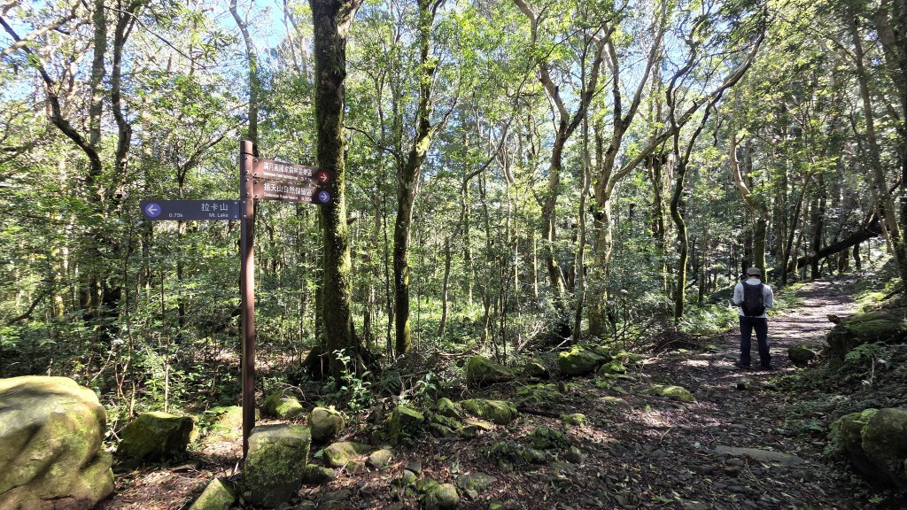 東北季風起遊走雲瀑和山毛櫸間的啦卡山與北插天山登山行_2951091