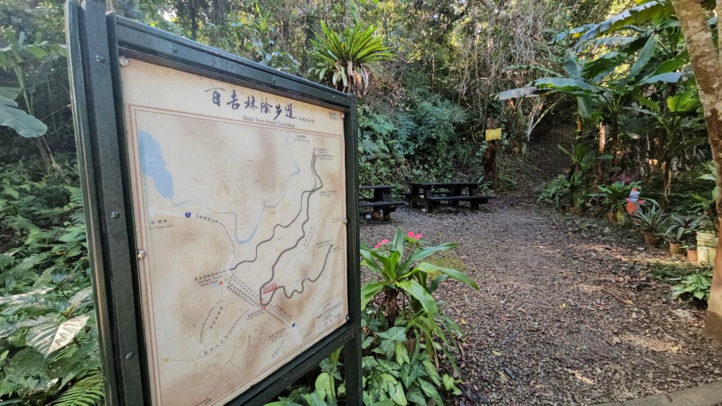 20251229石龜坑山上白石山下白石埤O走+阿姆坪_2976652