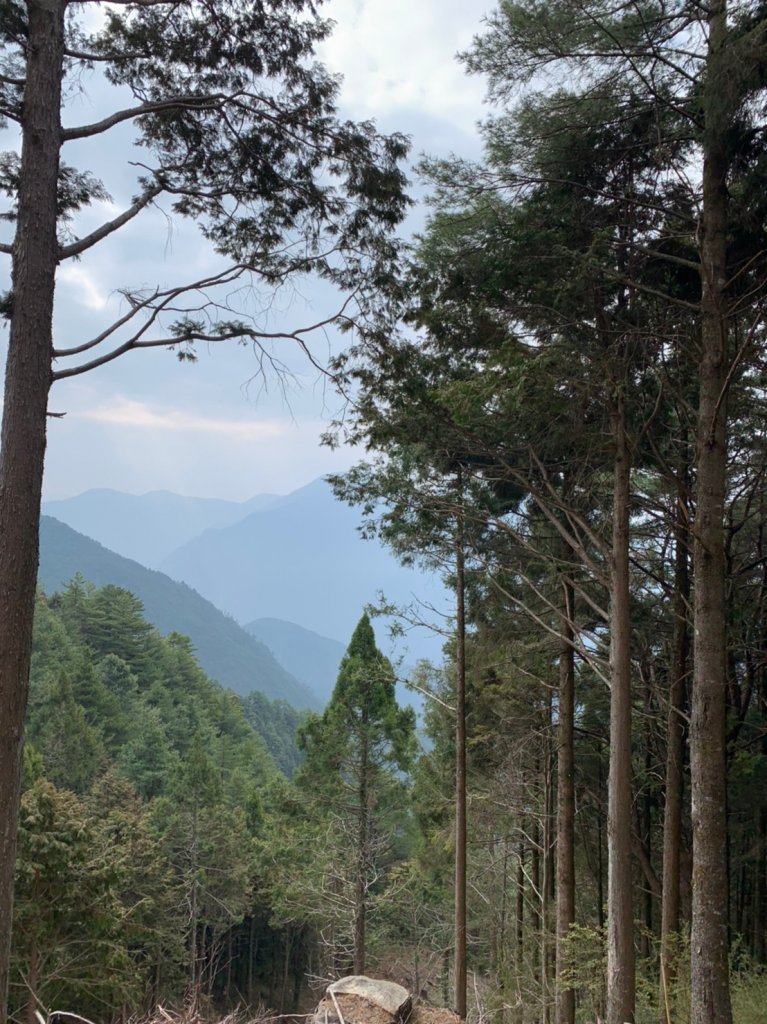 20210321台中大雪山森林北三椎山_1532124