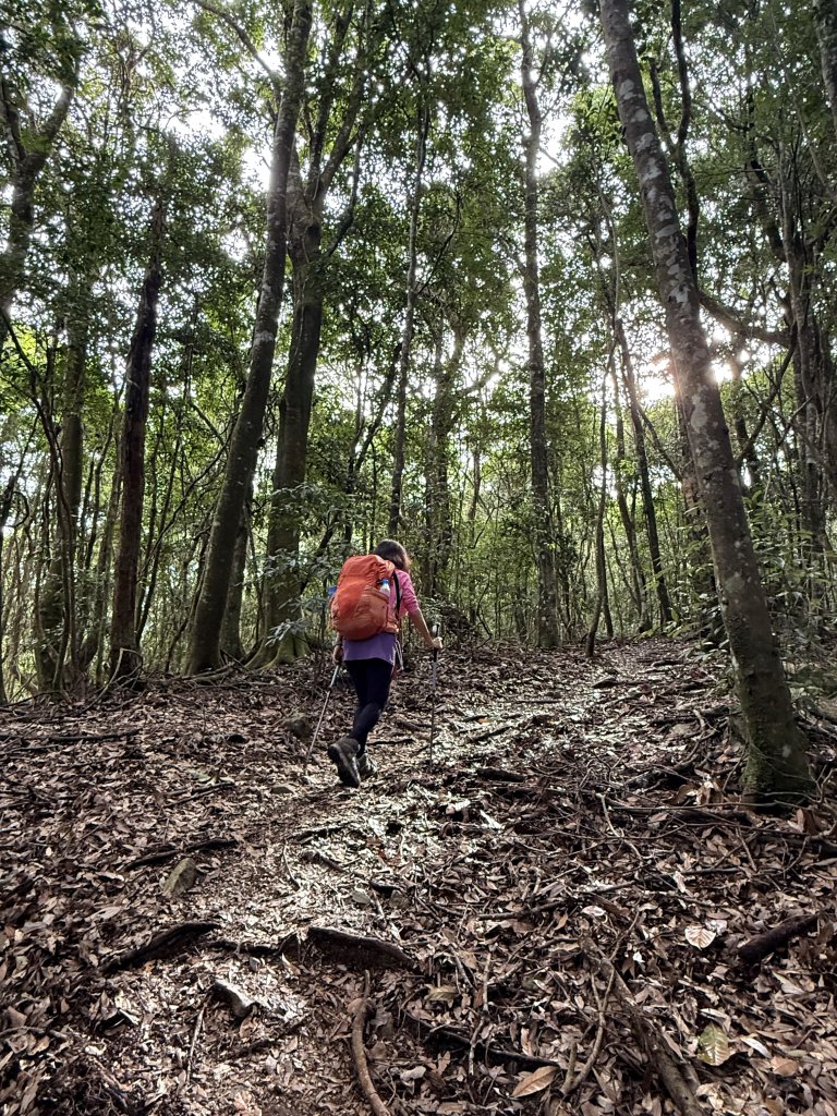 回程下雨的 松鶴上 八仙山 20251025_2925741