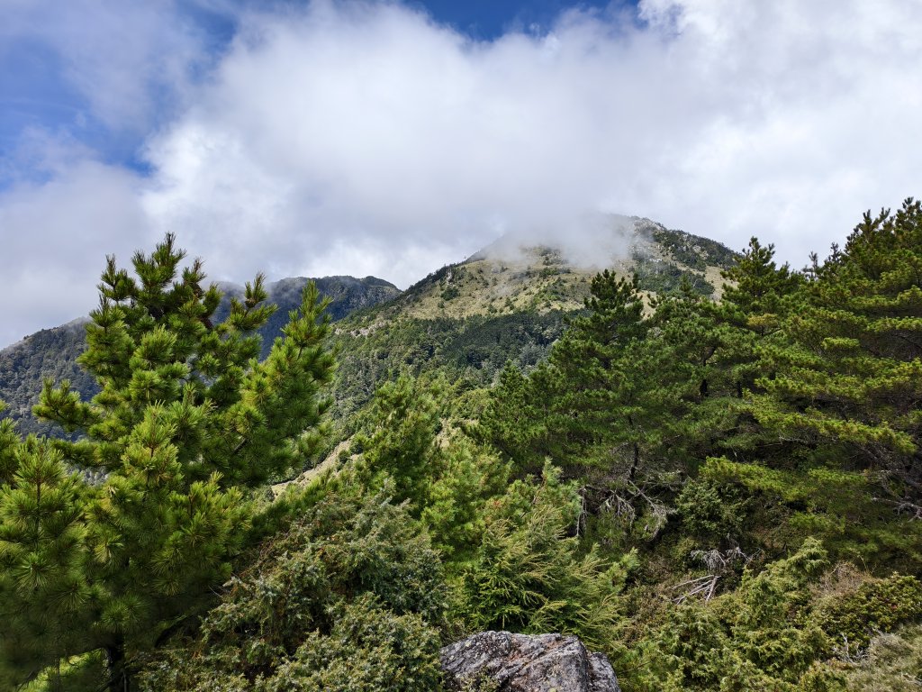 北一段(10/14)馬比杉山 2025_0906~13_2887133